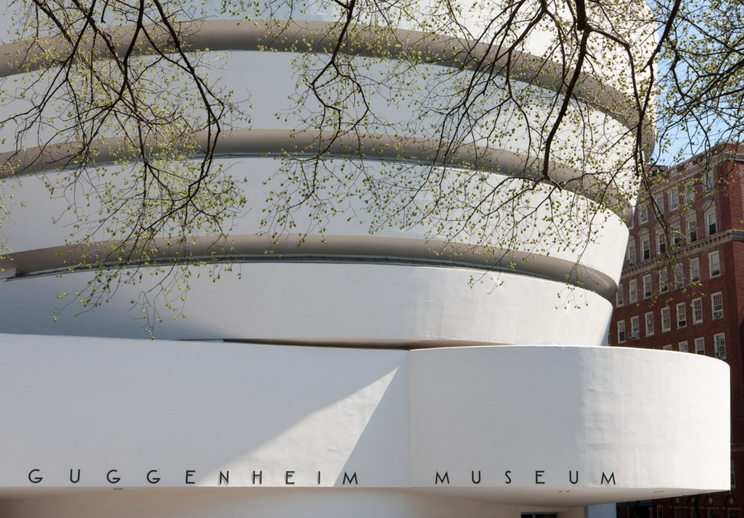 Guggenheim Museum